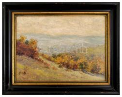 Nagy Ignác (1866-?): Kilátás a hegyről. Olaj, karton, jelzés nélkül, keretben, 26×35 cm