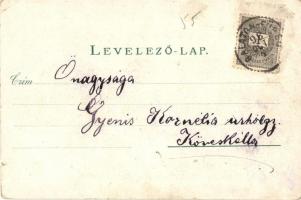 1898 Balatonfüred, Savanyú vízkút, Vaszary hercegprímás nyaralója, Gyógyterem, Stephania Yacht-egyle...