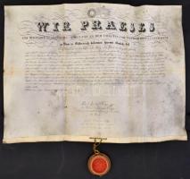 1844 A bécsi egyetem függőpecsétes diplomája magyar diák részére, pergamen, szignettával