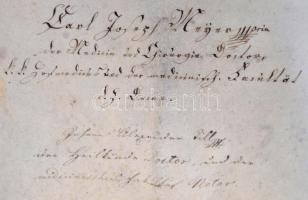 1844 A bécsi egyetem függőpecsétes diplomája magyar diák részére, pergamen, szignettával