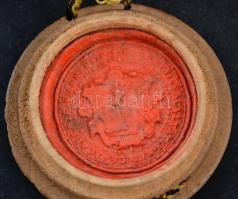 1844 A bécsi egyetem függőpecsétes diplomája magyar diák részére, pergamen, szignettával