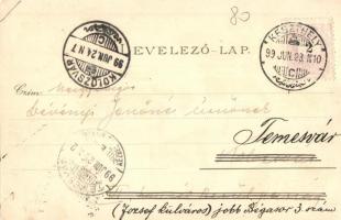 1899 Keszthely, Festetics palota, Balaton-fürdő, Főgimnázium, Gazdasági Tanintézet. Marton Móricz ki...