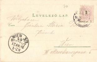 1898 Keszthely, Sziget-fürdő, Hullám szálloda, Gazdasági Tanintézet, Főgimnázium. Mérei Ignác kiadás...