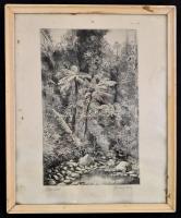 Pataky Béla (1932- ): Őserdő, rézkarc, papír, jelzett, üvegezett fa keretben, 40×24,5 cm