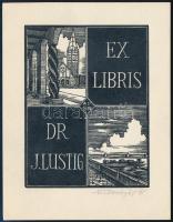 1935 Antonin Dolezal (?-?): Ex libris Dr. J. Lustig. Klisé, papír, jelzett, 12x9 cm