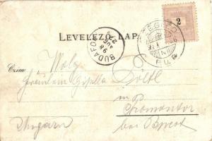 1898 Cegléd, Takarékpénztár, városháza, Református, Római katolikus és evangélikus templom, Sebők Bé...