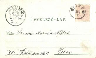 1899 Siófok, étterem, villasor, hullámverés, park, Balatoni holdvilág