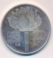 1986. 500Ft Ag "Téli Olimpia-Calgary" T:1 patina
Adamo EM98