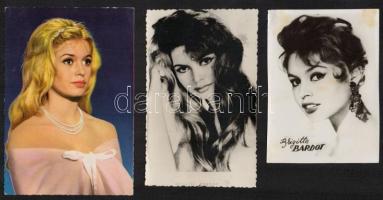 Brigitte Bardot (1934-) színésznőt ábrázoló 2 db fotó és 1 db képeslap, 12x8,5 és 14x10 cm közötti méretekben