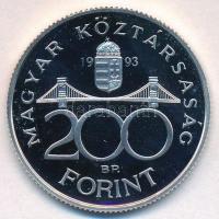 1993. 200Ft Ag "MNB" T:PP
Adamo F13