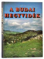 Dr. Juhász Árpád-Dr. Gál Éva: A budai hegyvidék. Bp., 1988, Képzőművészeti. Kiadói kartonált papírkötés.