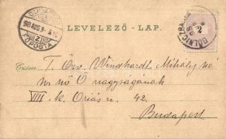 1898 Thurzófüred, Kupele Turzo; Thurzó-ház, Bányász, Budapest és Hygiea villák, fürdő, vendéglő / vi...