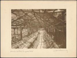 cca 1930 Orphanidesz János (1876-1939) hagyatékából 3 db aláírt fotóművészeti alkotás, 24x18 cm