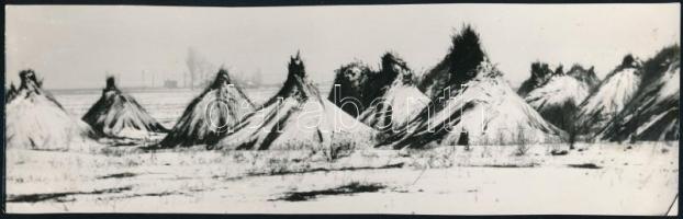 cca 1975 Zsigri Oszkár (1933-?) budapesti fotóművész hagyatékából 2 db vintage fotó, jelzés nélkül, ...