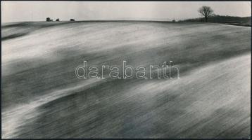 cca 1977 Zsigri Oszkár (1933-?) budapesti fotóművész hagyatékából 2 db vintage fotó, egyik feliratoz...