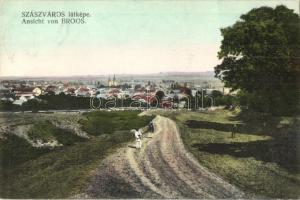 Szászváros, Broos, Orastie; látkép / general view (EK)