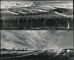 cca 1970 Zsigri Oszkár (1933-?) budapesti fotóművész hagyatékából 3 db vintage fotó, kettő feliratoz...