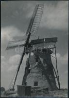 cca 1928 Kiskunhalasi szélmalom, jelzés nélküli vintage fotó Kerny István (1879-1963) fotóművész hagyatékából, 22,5x16 cm