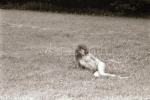 cca 1976 Szolidan erotikus felvételek, 40 db vintage negatív, 24x36 mm