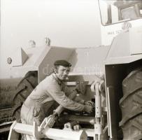 cca 1965 Sinka Antal (?-?) hagyatékából (aki a velencei AGROKOMPLEX fotósa volt az 1960-as, 1970-es ...