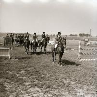 cca 1965 Sinka Antal (?-?) hagyatékából (aki a velencei AGROKOMPLEX fotósa volt az 1960-as, 1970-es ...
