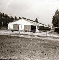 cca 1965 Sinka Antal (?-?) hagyatékából (aki a velencei AGROKOMPLEX fotósa volt az 1960-as, 1970-es ...