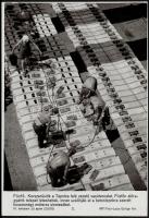 cca 1970 Közlekedés témájú MTI fotók, 11 db, közte vasút, hajó, traktor, 21x25 cm