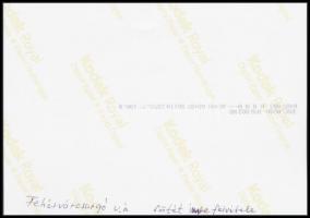 Sötét Imre (?-?): Fehérvárcsurgó vasútállomás, modern előhívás, hátulján feliratozva, 12,5×18 cm