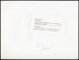 cca 1950 Rákosi Mátyásról készült 4 db fénykép, kettő feliratozva, 13x18 cm és 18x24 cm