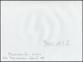 cca 1987 Menesdorfer Lajos (1941-2005) budapesti fotóművész hagyatékából, Mezei idill c. vintage alk...