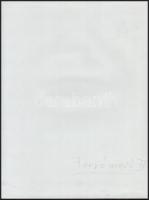 cca 1978 Menesdorfer Lajos (1941-2005) budapesti fotóművész hagyatékából, Forró mező c. vintage alko...