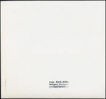 Weöres Sándor (1913-1989) és Károlyi Amy (1909-2003), Ács Irén fotója, pecséttel jelzett, 18x20 cm