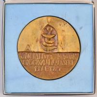 Ligeti Erika (1934-2004) 1975. "A Szocialista Magyar Gyógyszerellátásért 1950-1975" kétoldalas Br plakett eredeti tokban (97mm) T:2