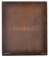 Csillag István (1881-1968) 1930. "Dr. Kiss Arnold" Br plakett, hátoldalon "LUDVIG E. ...