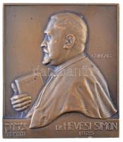 Csillag István (1881-1968) 1925. Dr. Hevesi Simon Br plakett (152,64g/61,5x70,5mm) T:2 ph. / Hungary 1925. Simon Hevesi Dr. Br plaque. Sign.: István Csillag (152,64g/61,5x70,5mm) C:XF edge error
