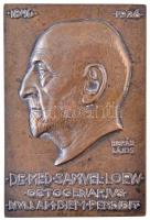 Berán Lajos (1882-1943) 1926. DR. MED. SAMVEL LOEW - OCTOGENARIVS NVLLAM DIEM PERDIDIT Br plakett (68x100,5mm) T:2 / Hungary 1926. DR. MED. SAMVEL LOEW - OCTOGENARIVS NVLLAM DIEM PERDIDIT Br plaque. Sign.: Lajos Berán (68x100,5mm) C:XF