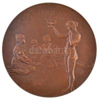 Beck Ötvös Fülöp (1873-1945) 1901. "Korányi Frigyes doktorrá avatásának 50. évfordulója" B...