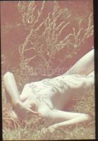 cca 1940-1950 Akt diapozitív képek, Agfacolor, üveges keretben, 3 db, 5x5 cm