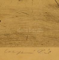 Csergezán Pál (1924-1996): Budai kertek. Rézkarc, papír, jelzett, üvegezett keretben, 23×29 cm