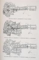 Harrer Ferenc: A Fővárosi Közmunkák Tanácsa 1930-1940. Bp.,1941, Athenaeum. Kiadói aranyozott egészv...