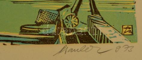 Csavlek András (1942- ): Füred.Színes linó, karton, jelzett, 24×42 cm