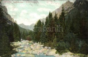Tátra, Tarpataki völgy. Feitzinger Ede No. 967. 1905. / Kohlbachthal / valley (EK)