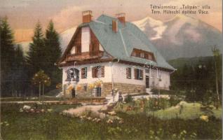Tátralomnic, Tatranska Lomnica; Tulipán villa. Tervezte Hübschl építész / villa (EK)