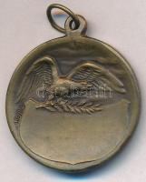 ~1930. "Újpesti Torna Egyesület 1885" Br emlékérem szalag nélkül, hátoldalán "LUDVIG&...