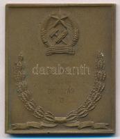 1951. "Honvéd Sportversenyek" fém plakett, hátlapján gravírozva. Szign.:Jákfalvy (60,5x52m...
