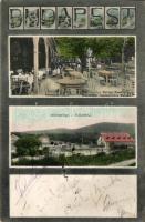 Budapest II. Hűvösvölgy Balázs vendéglő (small tear)