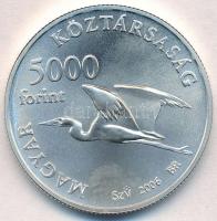 2006. 5000Ft Ag "Fertő kultúrtáj" tanúsítvánnyal T:BU
Adamo EM203
