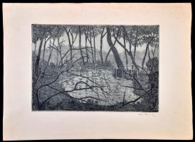 Weisz Zsuzsa (1925-): Erdei tavacska, rézkarc, papír, jelzett, 20x29 cm
