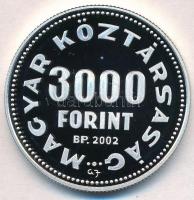 2002. 3000Ft Ag "Kovács Margit" tanúsítvánnyal T:PP
Adamo EM184