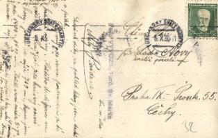 Árvaváralja, Oravsky Zámok; vár / castle. Vyvozil photo (gyűrődések / creases)